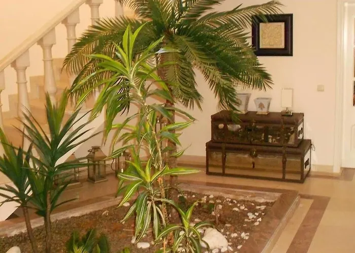 Suites & Beds Dp Albufeira Hostel Albufeira