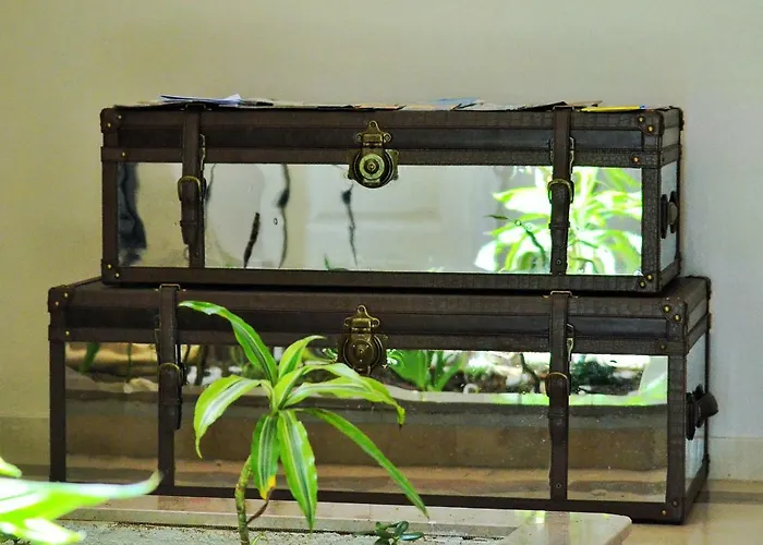 Suites & Beds Dp Albufeira Hostel *