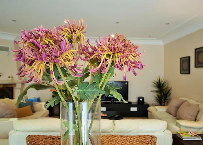 Suites & Beds Dp Albufeira