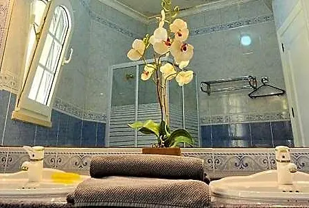 & Beds Dp Albergue Albufeira