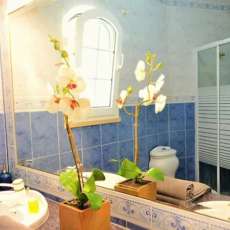 Suites & Beds Dp Albufeira Hostel