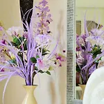 ホステル & Beds Dp