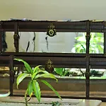 & Beds Dp ホステル *